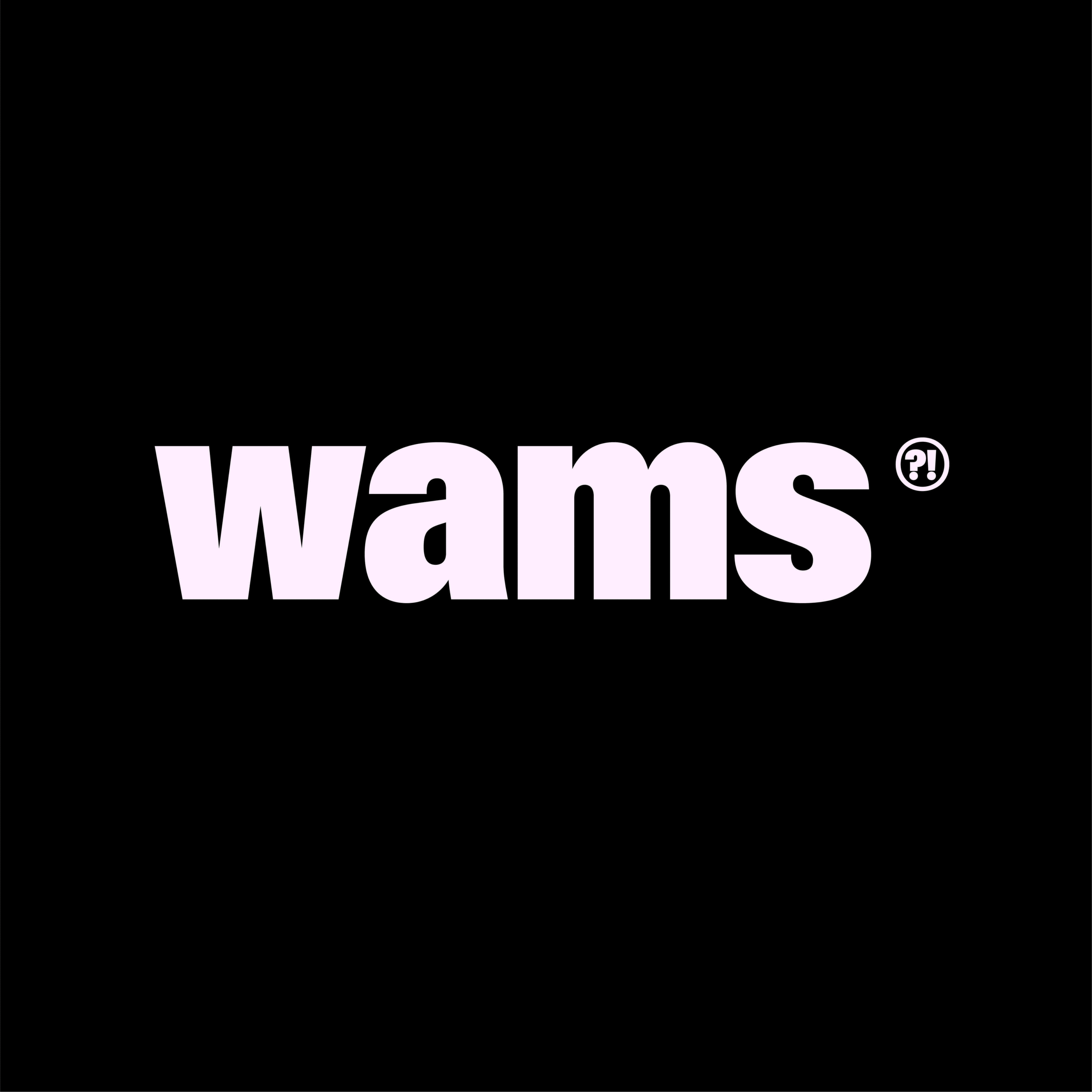 WAMS RELOADED